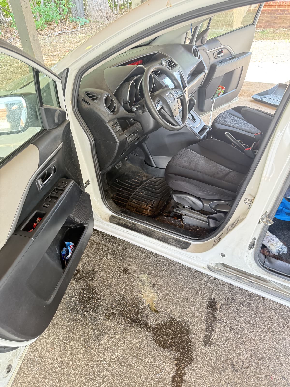 Dirty interior before detailing